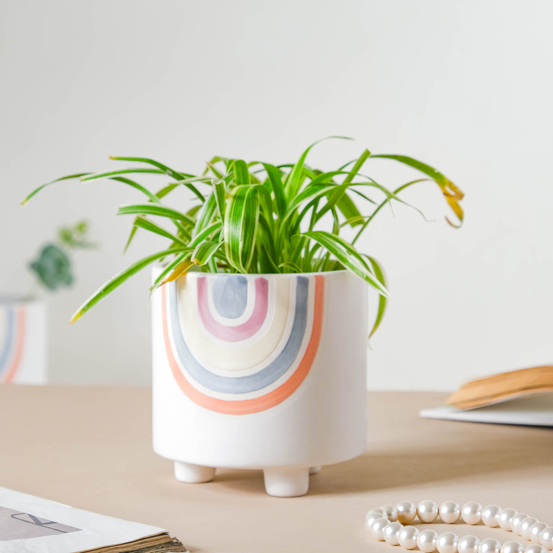 Rainbow Round Pot Small - Indoor planters and flower pots | Home decor items