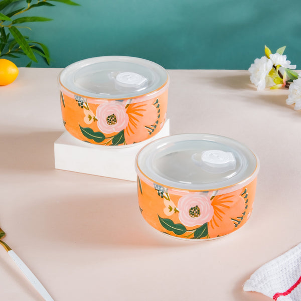 Lunch Boxes Buy Ceramic Lunch Box Set Online In India Nestasia