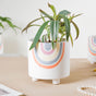 Rainbow Round Pot Medium - Indoor planters and flower pots | Home decor items