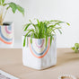 Rainbow Square Pot Small - Indoor planters and flower pots | Home decor items