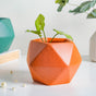 Orange Abstract Plant Pot - Indoor plant pots and flower pots | Home decoration items