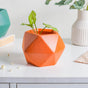 Orange Abstract Plant Pot - Indoor plant pots and flower pots | Home decoration items