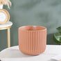 Biscuit Brown Fluted Vase Large - Flower vase for home decor, office and gifting | Home decoration items