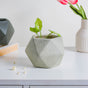 Light Grey Abstract Plant Pot - Plant pot and plant stands | Room decor items