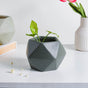 Grey Abstract Plant Pot - Indoor planters and flower pots | Home decor items