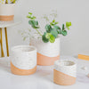 Bicolour Plant Pot Set of 3 - Indoor planters and flower pots | Home decor items