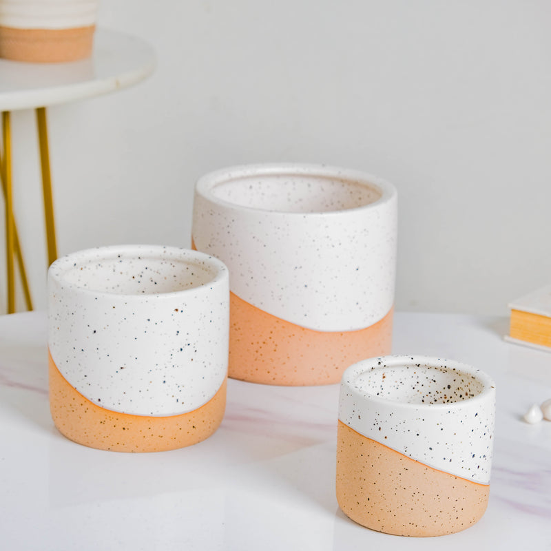 Bicolour Plant Pot Set of 3 - Indoor planters and flower pots | Home decor items