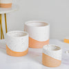Bicolour Plant Pot Set of 3 - Indoor planters and flower pots | Home decor items