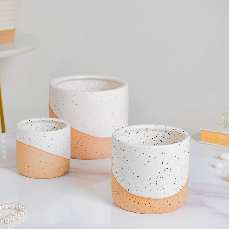 Bicolour Plant Pot Set of 3 - Indoor planters and flower pots | Home decor items