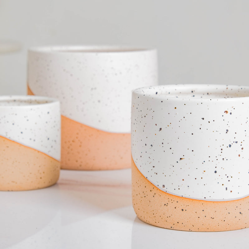 Bicolour Plant Pot Set of 3 - Indoor planters and flower pots | Home decor items