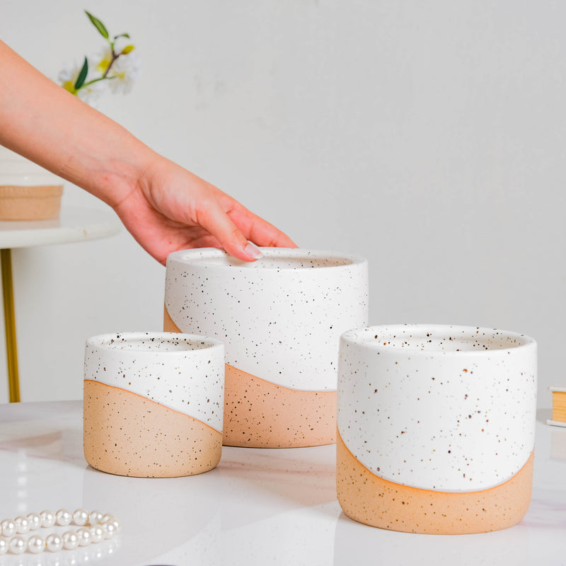 Bicolour Plant Pot Set of 3 - Indoor planters and flower pots | Home decor items