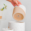 Bicolour Plant Pot Set of 3 - Indoor planters and flower pots | Home decor items