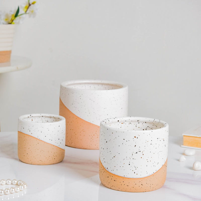 Bicolour Plant Pot Set of 3 - Indoor planters and flower pots | Home decor items