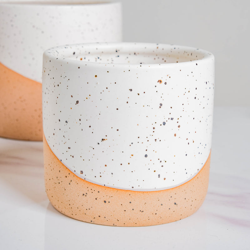 Bicolour Plant Pot Set of 3 - Indoor planters and flower pots | Home decor items