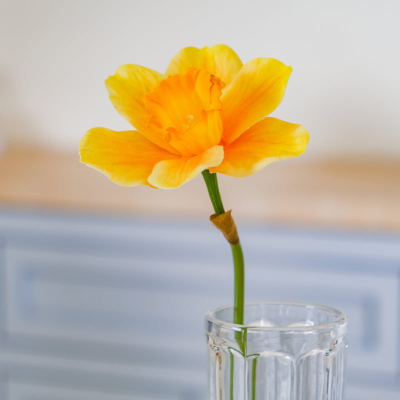 Daffodil Flower - Artificial flower | Home decor item | Room decoration item