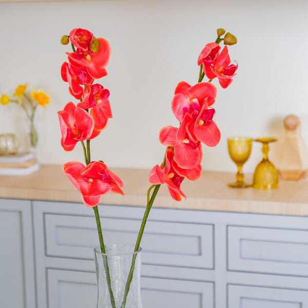 Moth Orchid Flower - Artificial flower | Flower for vase | Home decor item | Room decoration item