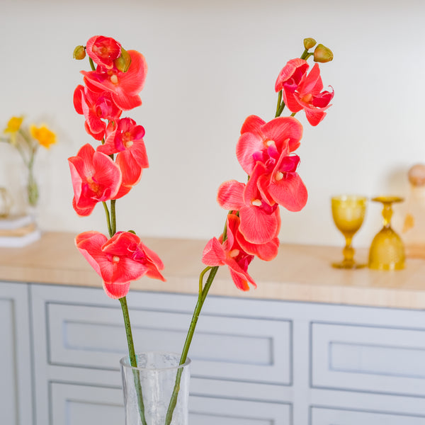 Moth Orchid Flower - Artificial flower | Flower for vase | Home decor item | Room decoration item