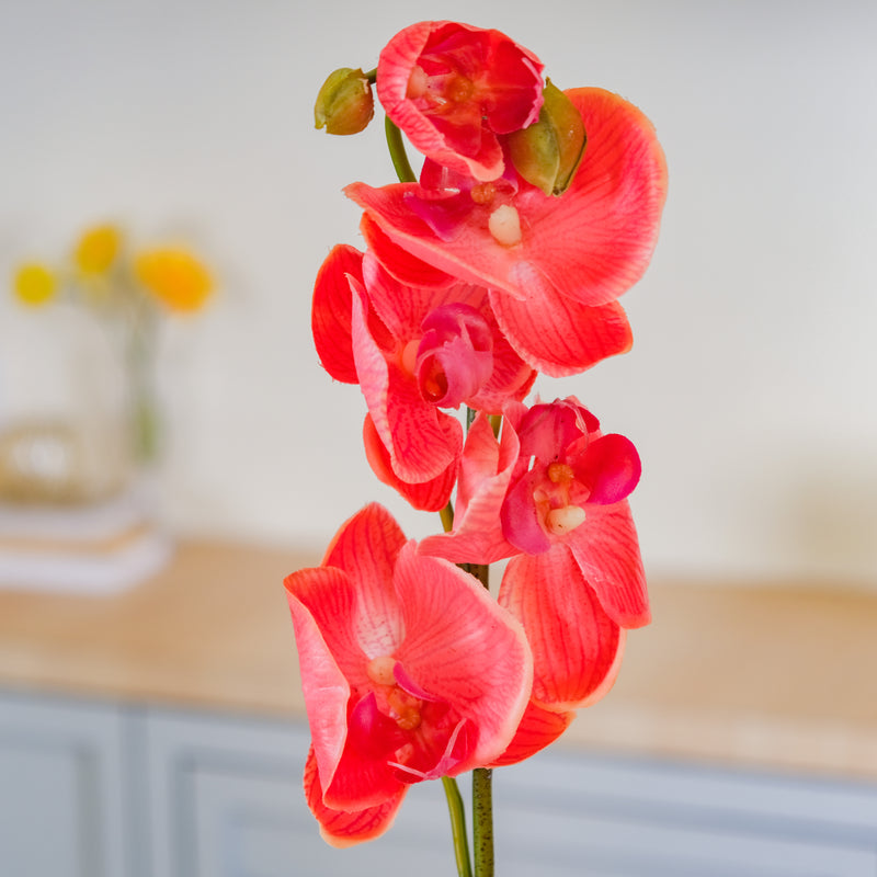 Moth Orchid Flower - Artificial flower | Flower for vase | Home decor item | Room decoration item