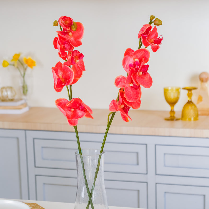 Moth Orchid Flower - Artificial flower | Flower for vase | Home decor item | Room decoration item