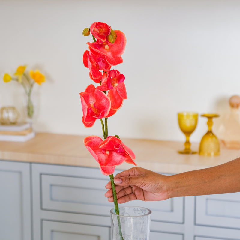 Moth Orchid Flower - Artificial flower | Flower for vase | Home decor item | Room decoration item