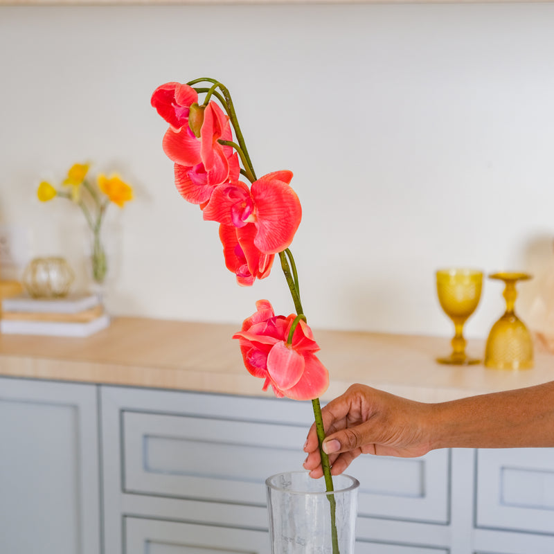 Moth Orchid Flower - Artificial flower | Flower for vase | Home decor item | Room decoration item