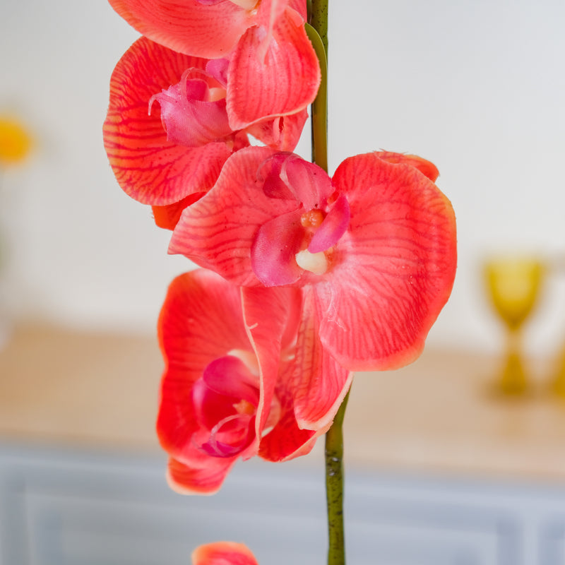 Moth Orchid Flower - Artificial flower | Flower for vase | Home decor item | Room decoration item