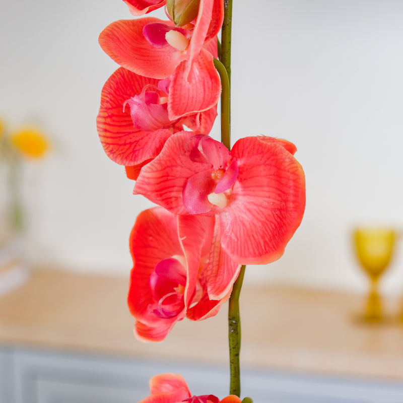 Moth Orchid Flower - Artificial flower | Flower for vase | Home decor item | Room decoration item