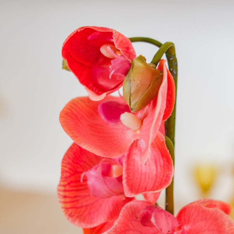 Moth Orchid Flower - Artificial flower | Flower for vase | Home decor item | Room decoration item