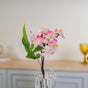 Cherry Blossom Stem - Artificial flower | Home decor item | Room decoration item