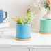 Summer Blue Planter With Coaster - Indoor planters and flower pots | Home decor items