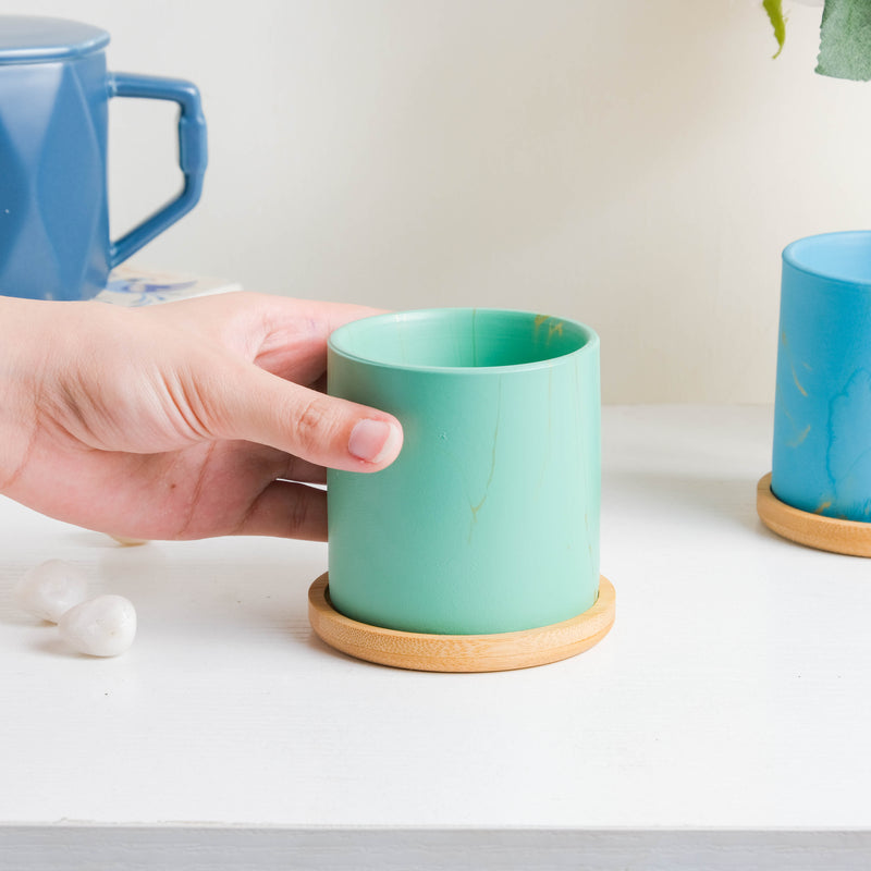 Leafy Green Planter With Coaster - Plant pot and plant stands | Room decor items