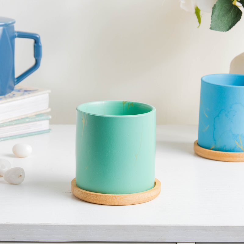 Leafy Green Planter With Coaster - Plant pot and plant stands | Room decor items