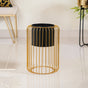 Chic Floor Planter With Gold Stand- Chic Floor Planter, Wired Stand Planter, Modern Floor Planter, Decorative Wired Stand, Stylish Planter with Stand