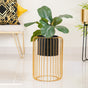 Chic Floor Planter With Gold Stand- Chic Floor Planter, Wired Stand Planter, Modern Floor Planter, Decorative Wired Stand, Stylish Planter with Stand