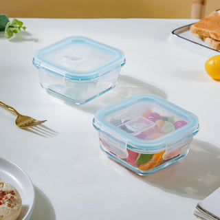 Glass Lunch Box Small Set Of 2 250ml