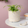 Ceramic Rope Planter Pot - Indoor planters and flower pots | Home decor items