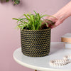Ceramic Rope Planter Pot - Indoor planters and flower pots | Home decor items