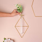 Diamond Wall Tube Vase - Flower vase for wall decoration/wall design | Living room decoration ideas