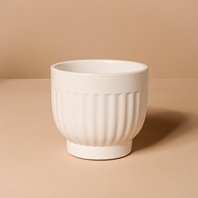 White Ribbed Vase - Flower vase for home decor, office and gifting | Home decoration items