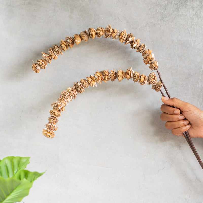 Flower Stick For Vase - Natural and sustainable decorative flowers | Room decoration items