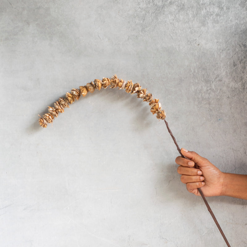 Flower Stick For Vase - Natural and sustainable decorative flowers | Room decoration items