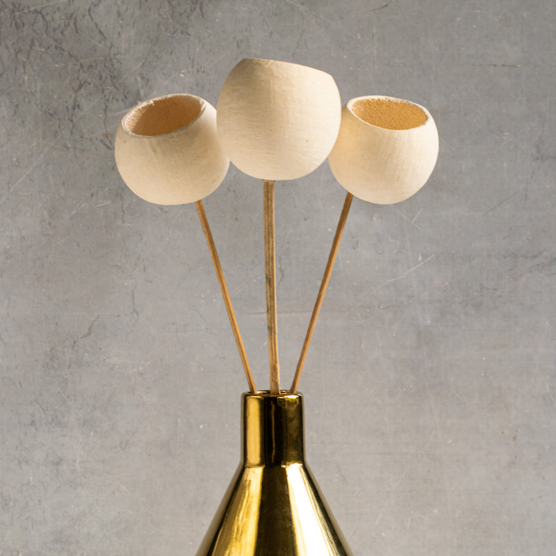 Decorative Stick For Tall Vase - Natural and sustainable home decor products | Room decoration items