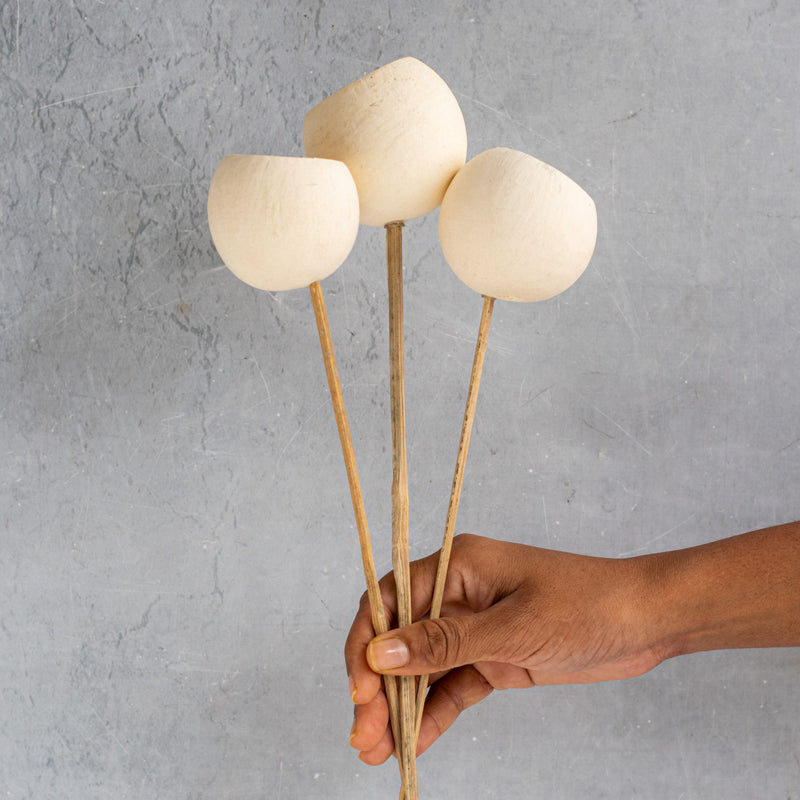 Decorative Stick For Tall Vase - Natural and sustainable home decor products | Room decoration items