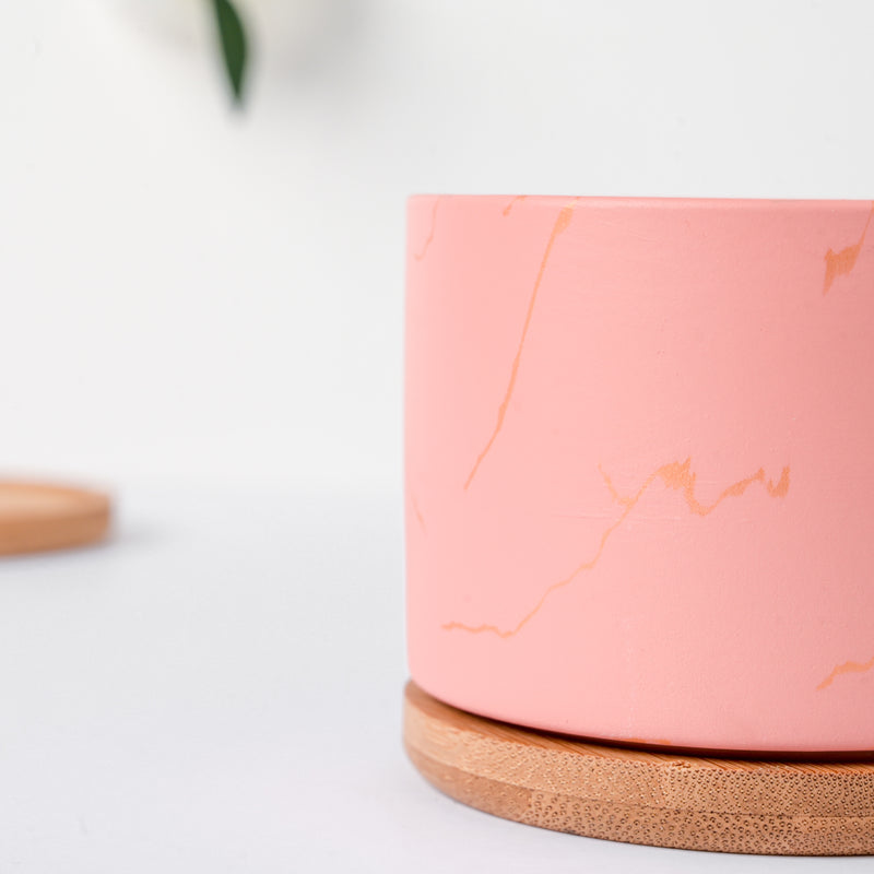 Orchid Pink Ceramic Planter With Coaster - Indoor plant pots and flower pots | Home decoration items