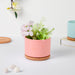 Orchid Pink Ceramic Planter With Coaster - Indoor plant pots and flower pots | Home decoration items