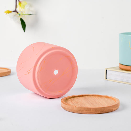 Botanical Bliss Ceramic Planter With Coaster Set Of 6