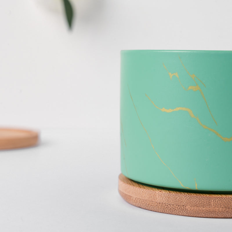 Maple Green Ceramic Planter With Coaster - Plant pot and plant stands | Room decor items