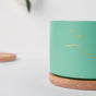 Maple Green Ceramic Planter With Coaster - Plant pot and plant stands | Room decor items