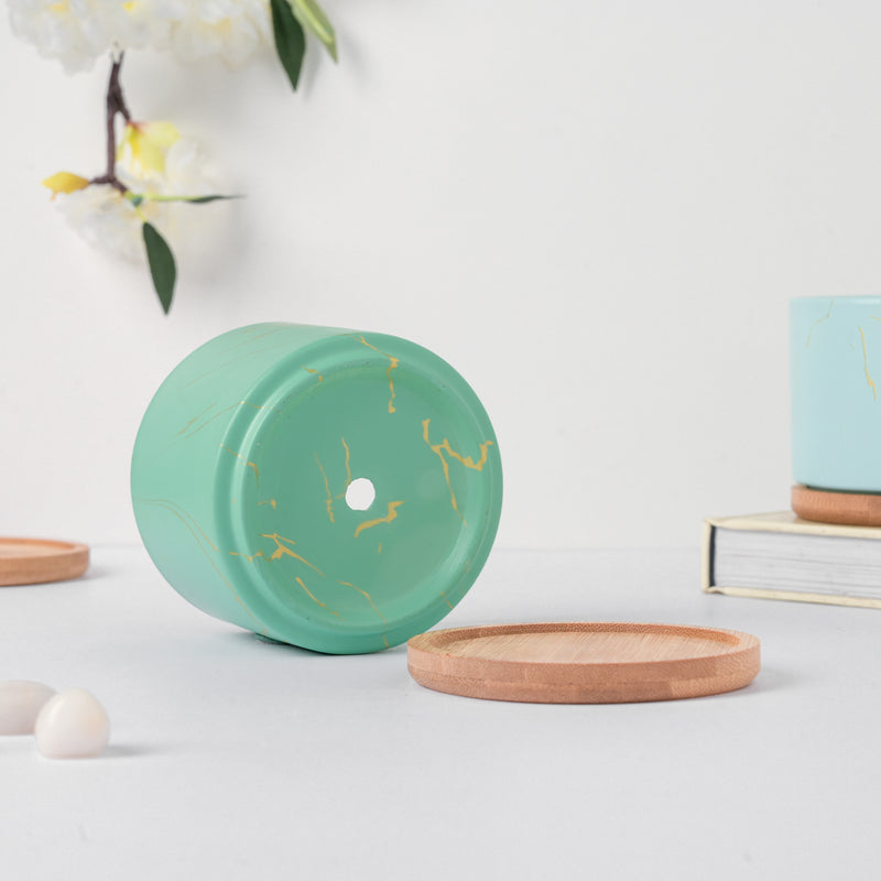 Maple Green Ceramic Planter With Coaster - Plant pot and plant stands | Room decor items