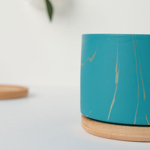 Botanical Bliss Ceramic Planter With Coaster Set Of 6